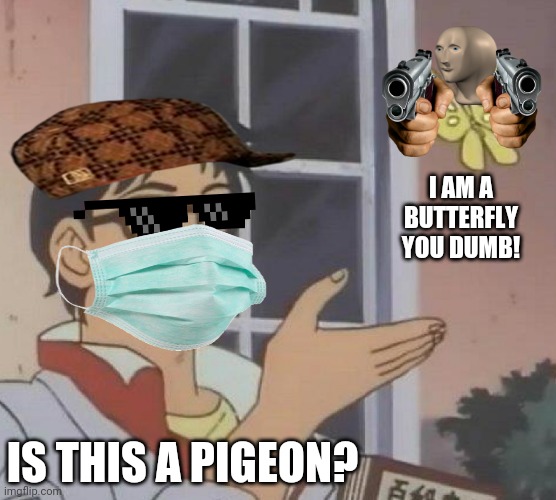 Is This A Pigeon Meme | I AM A BUTTERFLY YOU DUMB! IS THIS A PIGEON? | image tagged in memes,is this a pigeon | made w/ Imgflip meme maker