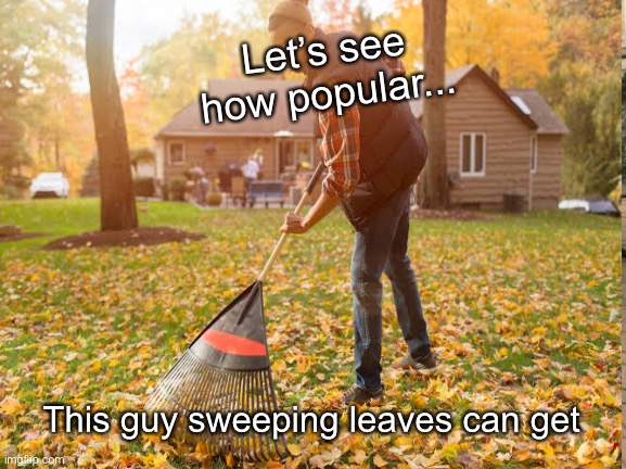 I’m bOreD | Let’s see how popular... This guy sweeping leaves can get | image tagged in funny | made w/ Imgflip meme maker