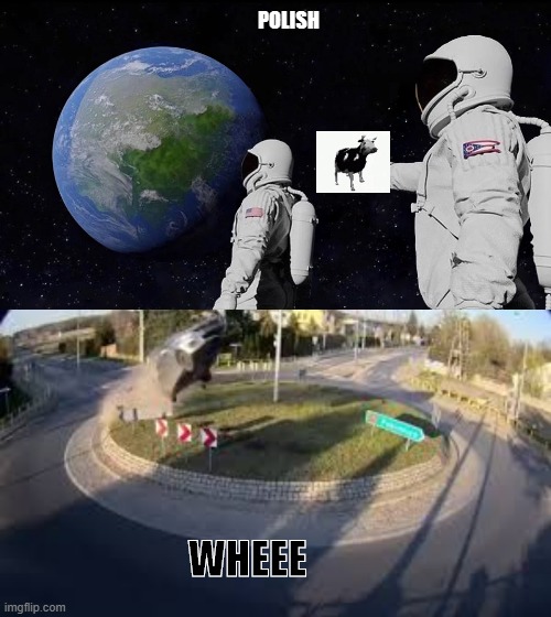 POLISH; WHEEE | image tagged in memes,always has been | made w/ Imgflip meme maker