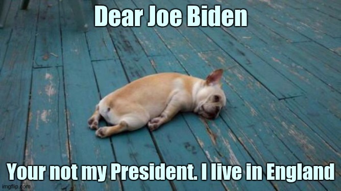 tired dog | Dear Joe Biden; Your not my President. I live in England | image tagged in tired dog,joe biden,general scumbag and villain,care of,white house | made w/ Imgflip meme maker