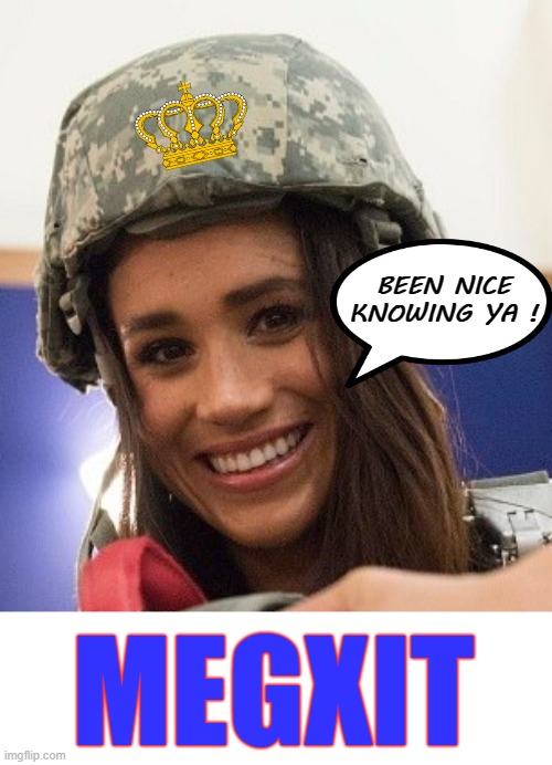 Been nice knowing ya ! | BEEN NICE
KNOWING YA ! MEGXIT | image tagged in mega | made w/ Imgflip meme maker