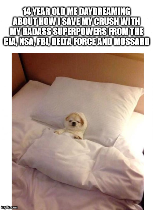 me be like: | 14 YEAR OLD ME DAYDREAMING ABOUT HOW I SAVE MY CRUSH WITH MY BADASS SUPERPOWERS FROM THE CIA, NSA, FBI, DELTA FORCE AND MOSSARD | image tagged in en blanco | made w/ Imgflip meme maker