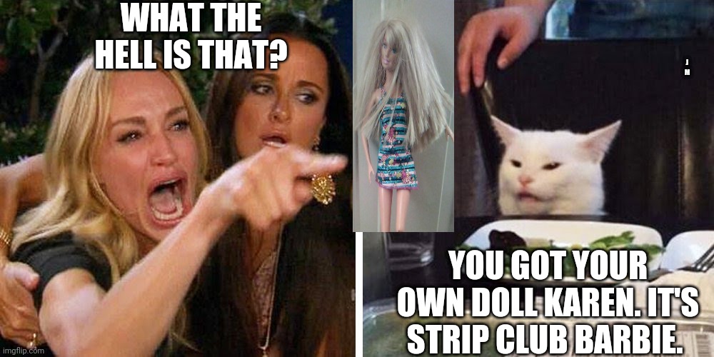 Smudge the cat | WHAT THE HELL IS THAT? J M; YOU GOT YOUR OWN DOLL KAREN. IT'S STRIP CLUB BARBIE. | image tagged in smudge the cat | made w/ Imgflip meme maker