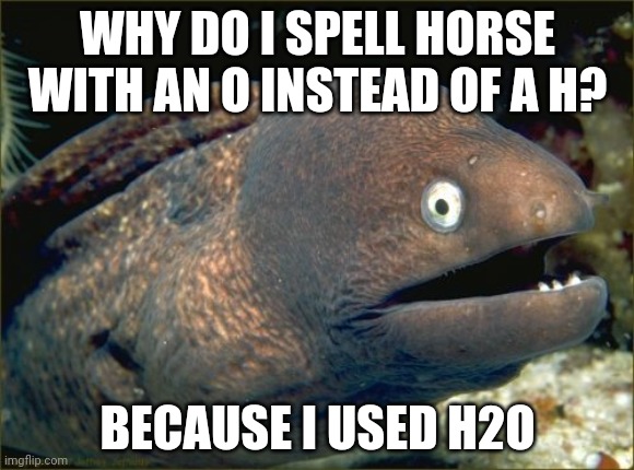 Bad Joke Eel Meme | WHY DO I SPELL HORSE WITH AN O INSTEAD OF A H? BECAUSE I USED H2O | image tagged in memes,bad joke eel | made w/ Imgflip meme maker