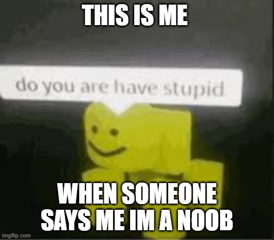 do you have stupid | THIS IS ME; WHEN SOMEONE SAYS ME IM A NOOB | image tagged in do you are have stupid | made w/ Imgflip meme maker