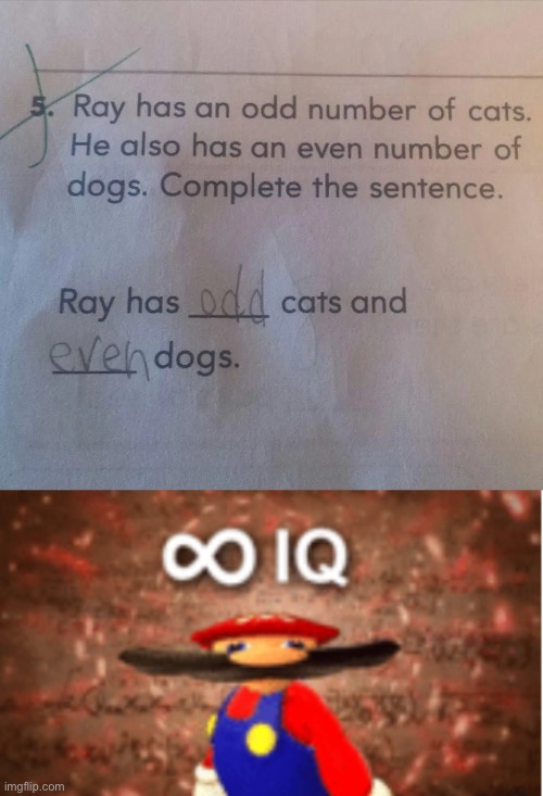 Smrt | image tagged in infinite iq,memes,funny,stupid test answers,funny test answers,tests,FreeKarma4U | made w/ Imgflip meme maker
