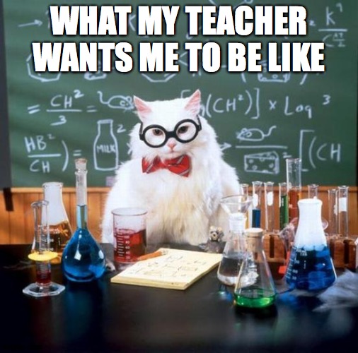 Chemistry Cat | WHAT MY TEACHER WANTS ME TO BE LIKE | image tagged in memes,chemistry cat | made w/ Imgflip meme maker