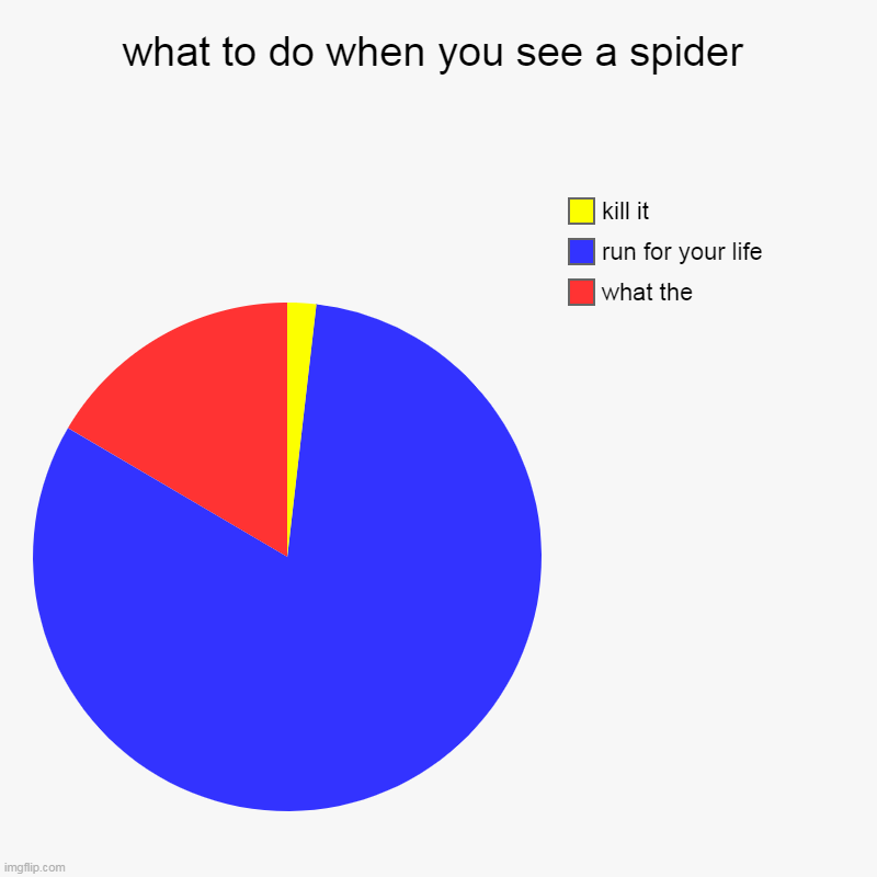 spiders pie chart | what to do when you see a spider | what the, run for your life, kill it | image tagged in charts,pie charts | made w/ Imgflip chart maker