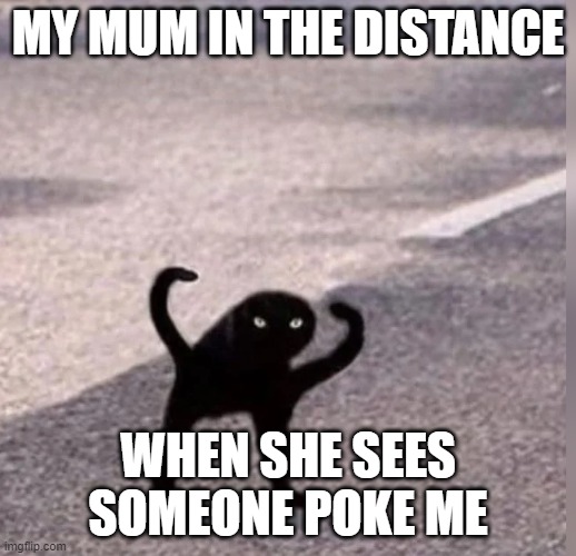 overprotectiveness | MY MUM IN THE DISTANCE; WHEN SHE SEES SOMEONE POKE ME | image tagged in cursed cat | made w/ Imgflip meme maker