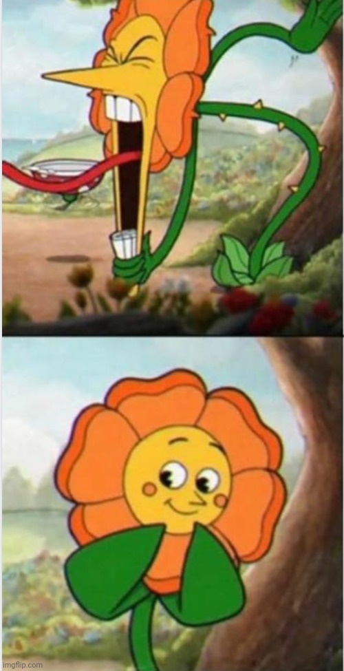 Bipolar flower | image tagged in bipolar flower | made w/ Imgflip meme maker