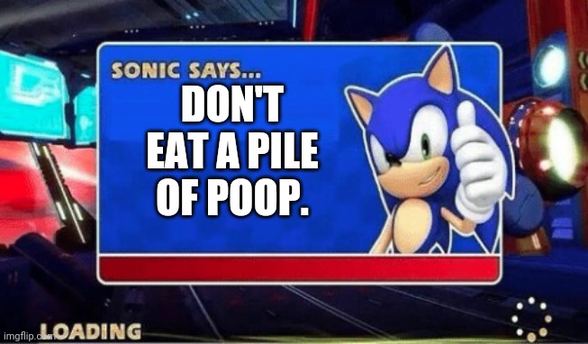 Plz don't eat poop. |  DON'T EAT A PILE OF POOP. | image tagged in sonic says | made w/ Imgflip meme maker