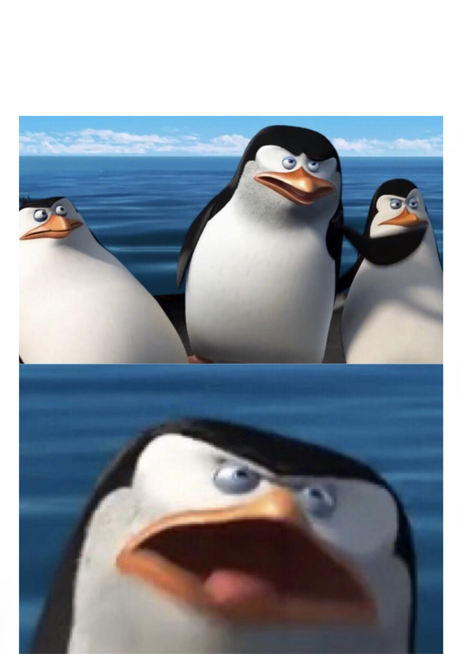 Penguins Blank Meme Template