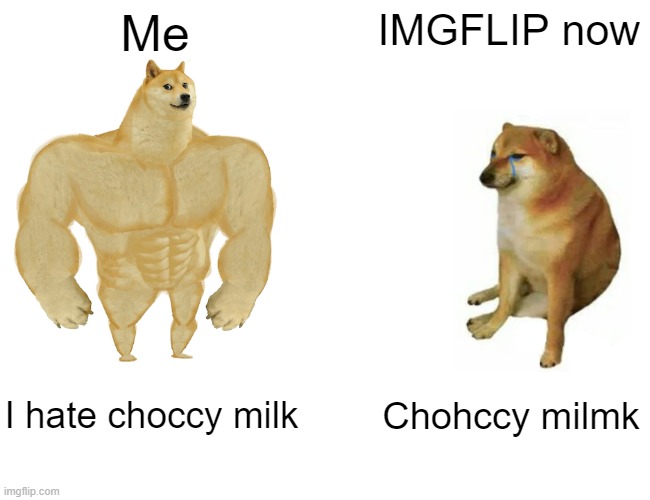 No more Choccy milk | Me; IMGFLIP now; I hate choccy milk; Chohccy milmk | image tagged in memes,buff doge vs cheems,no choccy milk | made w/ Imgflip meme maker