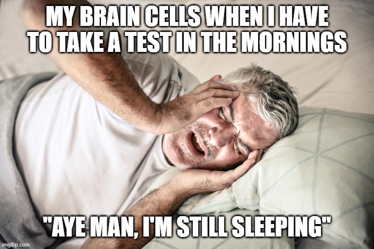 My Brain Taking Tests Be Like... | MY BRAIN CELLS WHEN I HAVE TO TAKE A TEST IN THE MORNINGS; "AYE MAN, I'M STILL SLEEPING" | image tagged in forreal,no cap,no kidding | made w/ Imgflip meme maker