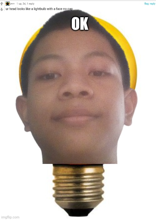 I'm a lightbulb now | OK | image tagged in lightbulb | made w/ Imgflip meme maker
