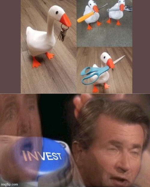 INVEST!!! | image tagged in invest | made w/ Imgflip meme maker