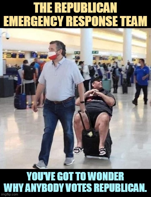 Republicans are against Big Government because they haven't a clue how to run one. | THE REPUBLICAN EMERGENCY RESPONSE TEAM; YOU'VE GOT TO WONDER WHY ANYBODY VOTES REPUBLICAN. | image tagged in ted cruz and chris christie with the gop emergency response,gop,republican,emergency,incompetence | made w/ Imgflip meme maker