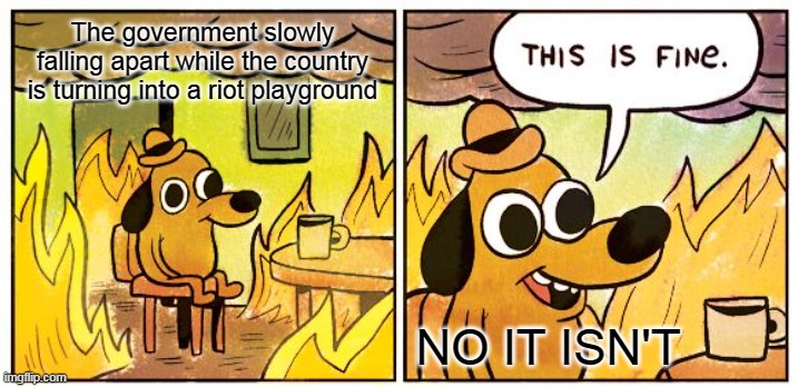 This Is Fine | The government slowly falling apart while the country is turning into a riot playground; NO IT ISN'T | image tagged in memes,this is fine | made w/ Imgflip meme maker