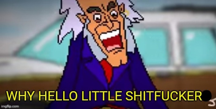 Why hello little shit-fuckers | image tagged in why hello little shit-fuckers | made w/ Imgflip meme maker