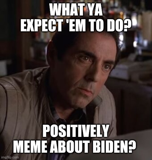 Richie Sopranos | WHAT YA EXPECT 'EM TO DO? POSITIVELY MEME ABOUT BIDEN? | image tagged in richie sopranos | made w/ Imgflip meme maker