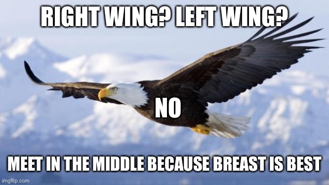 eagle | RIGHT WING? LEFT WING? NO; MEET IN THE MIDDLE BECAUSE BREAST IS BEST | image tagged in eagle,politics suck | made w/ Imgflip meme maker