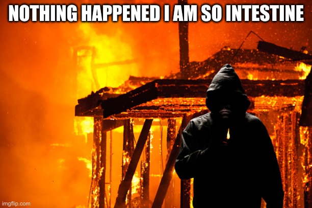 fire | NOTHING HAPPENED I AM SO INTESTINE | image tagged in fire | made w/ Imgflip meme maker