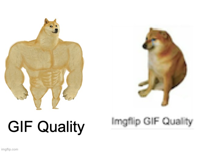 GIF Quality | GIF Quality | image tagged in memes,buff doge vs cheems,gif | made w/ Imgflip meme maker