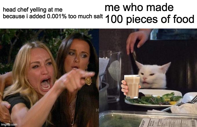 Woman Yelling At Cat Meme | head chef yelling at me because i added 0.001% too much salt; me who made 100 pieces of food | image tagged in memes,woman yelling at cat | made w/ Imgflip meme maker