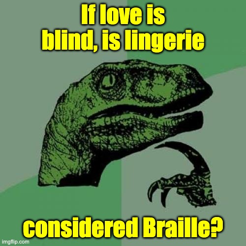 Lingerie | If love is blind, is lingerie; considered Braille? | image tagged in memes,philosoraptor | made w/ Imgflip meme maker