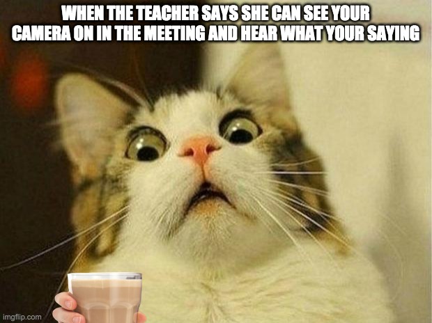 Scared Cat | WHEN THE TEACHER SAYS SHE CAN SEE YOUR CAMERA ON IN THE MEETING AND HEAR WHAT YOUR SAYING | image tagged in memes,scared cat | made w/ Imgflip meme maker