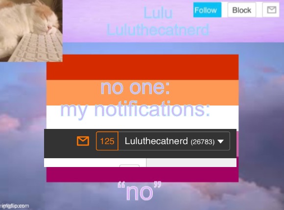 luluthecatnerd announcement template | no one: 
my notifications: | made w/ Imgflip meme maker