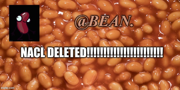 WHY IN HELL DID SALT DELETE | NACL DELETED!!!!!!!!!!!!!!!!!!!!!!! | image tagged in bean announcement | made w/ Imgflip meme maker