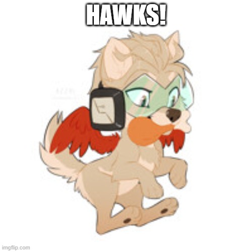 Hey im new! | HAWKS! | made w/ Imgflip meme maker