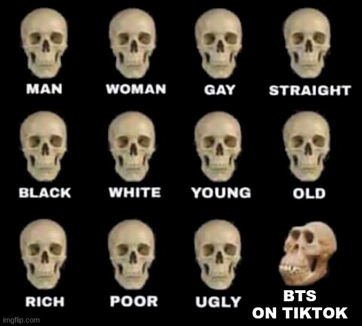 Image title...idk | BTS ON TIKTOK | image tagged in man woman gay straight skull | made w/ Imgflip meme maker
