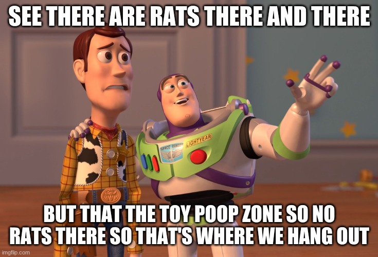 there and there | SEE THERE ARE RATS THERE AND THERE; BUT THAT THE TOY POOP ZONE SO NO RATS THERE SO THAT'S WHERE WE HANG OUT | image tagged in memes,x x everywhere | made w/ Imgflip meme maker