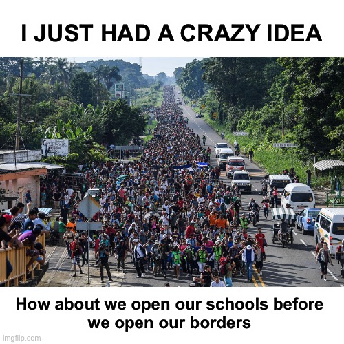 Who’s with me? | I JUST HAD A CRAZY IDEA; How about we open our schools before 
we open our borders | image tagged in immigrant caravan | made w/ Imgflip meme maker