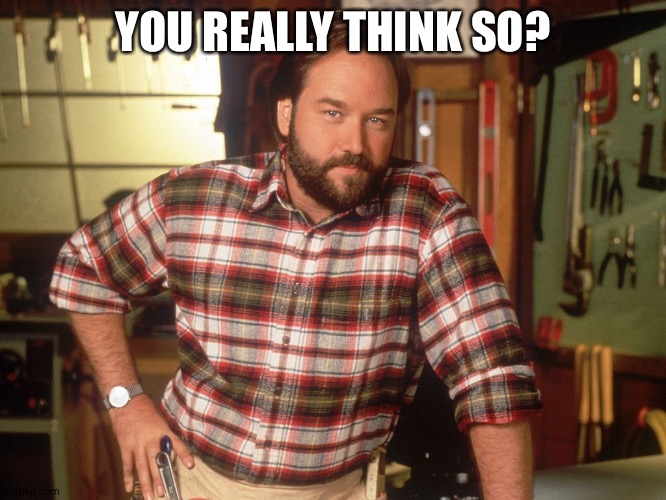 I don't think so, Tim | YOU REALLY THINK SO? | image tagged in i don't think so tim | made w/ Imgflip meme maker