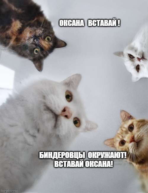 Зеленский обсудил с Даниловым планы работы СНБО на ближайшее время, - ОП - Цензор.НЕТ 5049