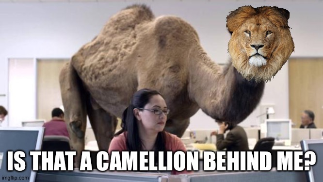 Hump Day Camel | IS THAT A CAMELLION BEHIND ME? | image tagged in hump day camel | made w/ Imgflip meme maker