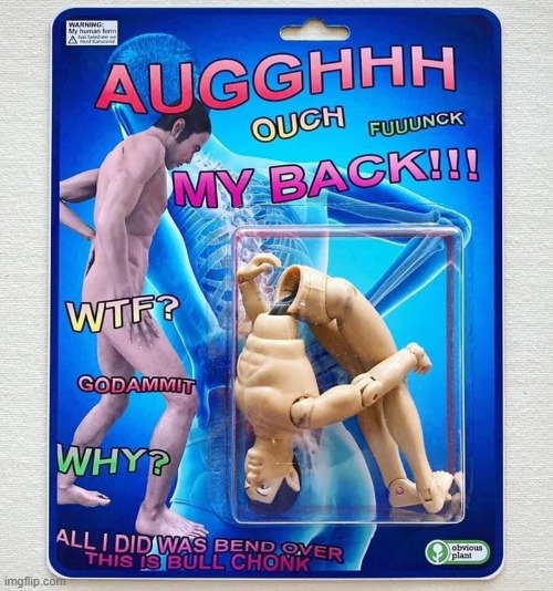 why? | image tagged in lol | made w/ Imgflip meme maker