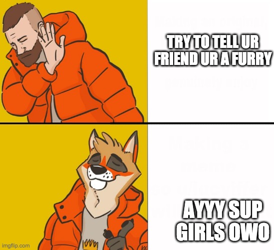 idk lol | TRY TO TELL UR FRIEND UR A FURRY; AYYY SUP GIRLS OWO | image tagged in furry drake | made w/ Imgflip meme maker