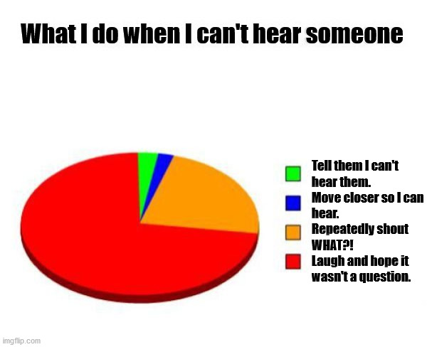 What I do when I can't hear someone; Tell them I can't 
hear them.
Move closer so I can
hear.
Repeatedly shout
WHAT?!
Laugh and hope it 
wasn't a question. | image tagged in pie charts | made w/ Imgflip meme maker