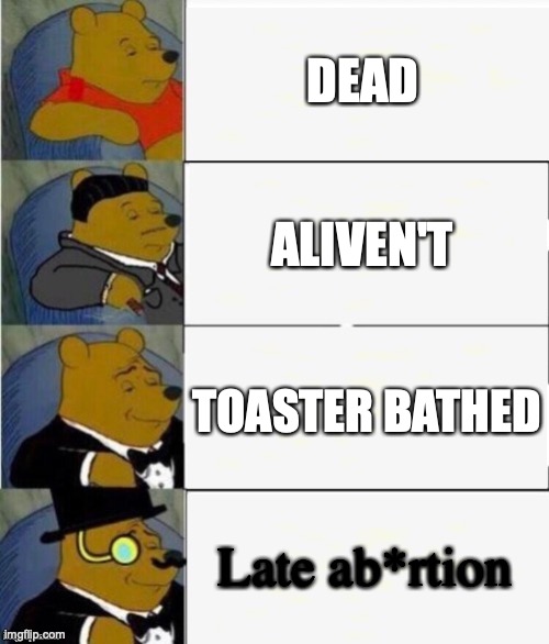 Tuxedo Winnie the Pooh 4 panel | DEAD; ALIVEN'T; TOASTER BATHED; Late ab*rtion | image tagged in tuxedo winnie the pooh 4 panel | made w/ Imgflip meme maker