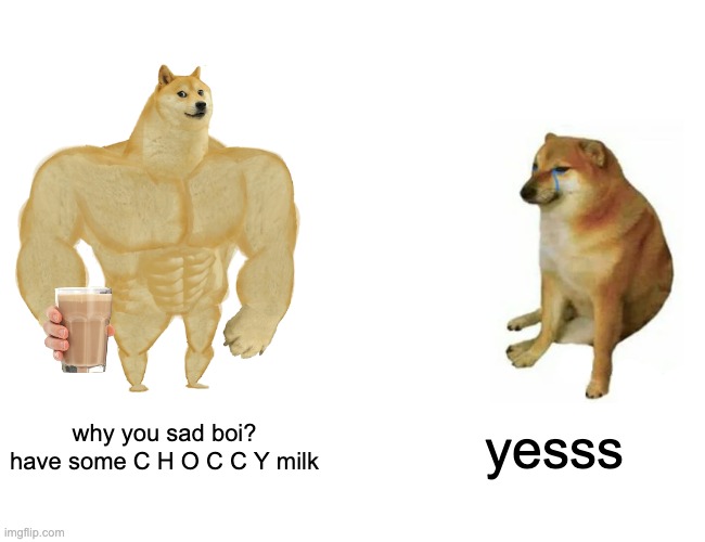 yesss | why you sad boi? have some C H O C C Y milk; yesss | image tagged in memes,buff doge vs cheems,wholesome,choccy milk | made w/ Imgflip meme maker