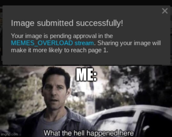 Seriously, What happened here? | ME: | image tagged in what the hell happened here | made w/ Imgflip meme maker