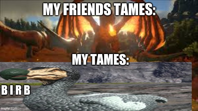 *sad dodo noices* | MY FRIENDS TAMES:; MY TAMES:; B I R B | image tagged in bernie i am once again asking for your support | made w/ Imgflip meme maker