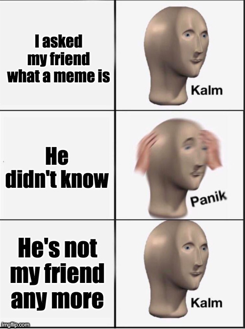 no | I asked my friend what a meme is; He didn't know; He's not my friend any more | image tagged in reverse kalm panik | made w/ Imgflip meme maker