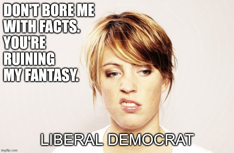 The Modern Liberal Democrat | image tagged in democrat,snooty woman,liberal,snowflake,entitlement,anti-america | made w/ Imgflip meme maker