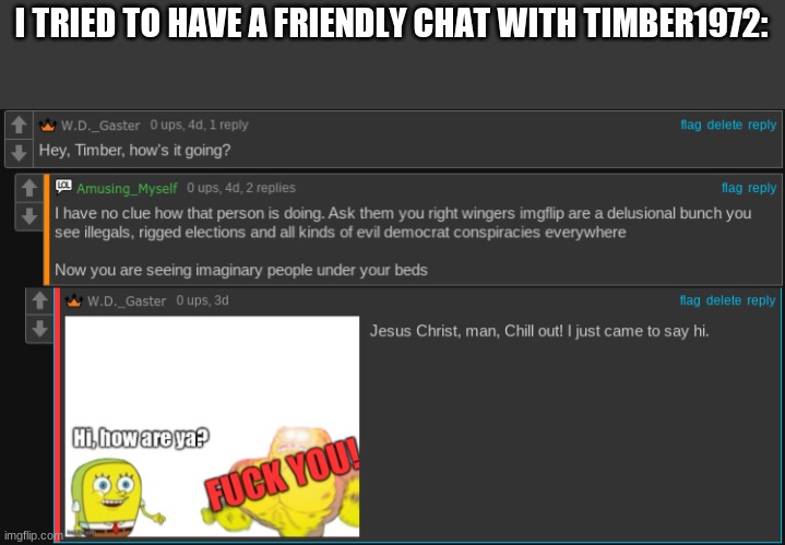 Trying to be friendly | I TRIED TO HAVE A FRIENDLY CHAT WITH TIMBER1972: | image tagged in bruh,chill out,you're so toxic,why you bully me | made w/ Imgflip meme maker