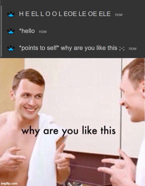 image tagged in why are you like this | made w/ Imgflip meme maker